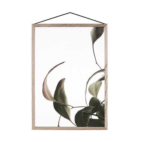 ڥڡоݡۡڤ󤻡Paper Collective (ڡѡ쥯ƥ) ݥ A3 Floating Leaves 08 ꥢ ̲/ƥꥢ/Ź 