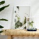 ڥڡоݡۡڤ󤻡Paper Collective (ڡѡ쥯ƥ) ݥ A3 Floating Leaves 08 ꥢ ̲/ƥꥢ/Ź 