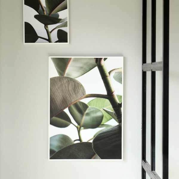 ڥڡоݡۡڤ󤻡Paper Collective (ڡѡ쥯ƥ) ݥ 5070 Green home 03 (꡼ۡ) ̲/ƥꥢ/Ź ̵