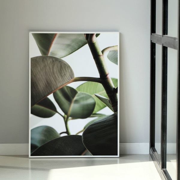 ڥڡоݡۡڤ󤻡Paper Collective (ڡѡ쥯ƥ) ݥ 5070 Green home 03 (꡼ۡ) ̲/ƥꥢ/Ź ̵