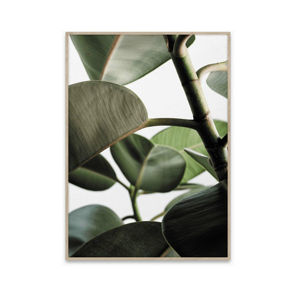 ڥڡоݡۡڤ󤻡Paper Collective (ڡѡ쥯ƥ) ݥ 5070 Green home 03 (꡼ۡ) ̲/ƥꥢ/Ź ̵
