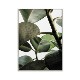 ڥڡоݡۡڤ󤻡Paper Collective (ڡѡ쥯ƥ) ݥ 5070 Green home 03 (꡼ۡ) ̲/ƥꥢ/Ź ̵