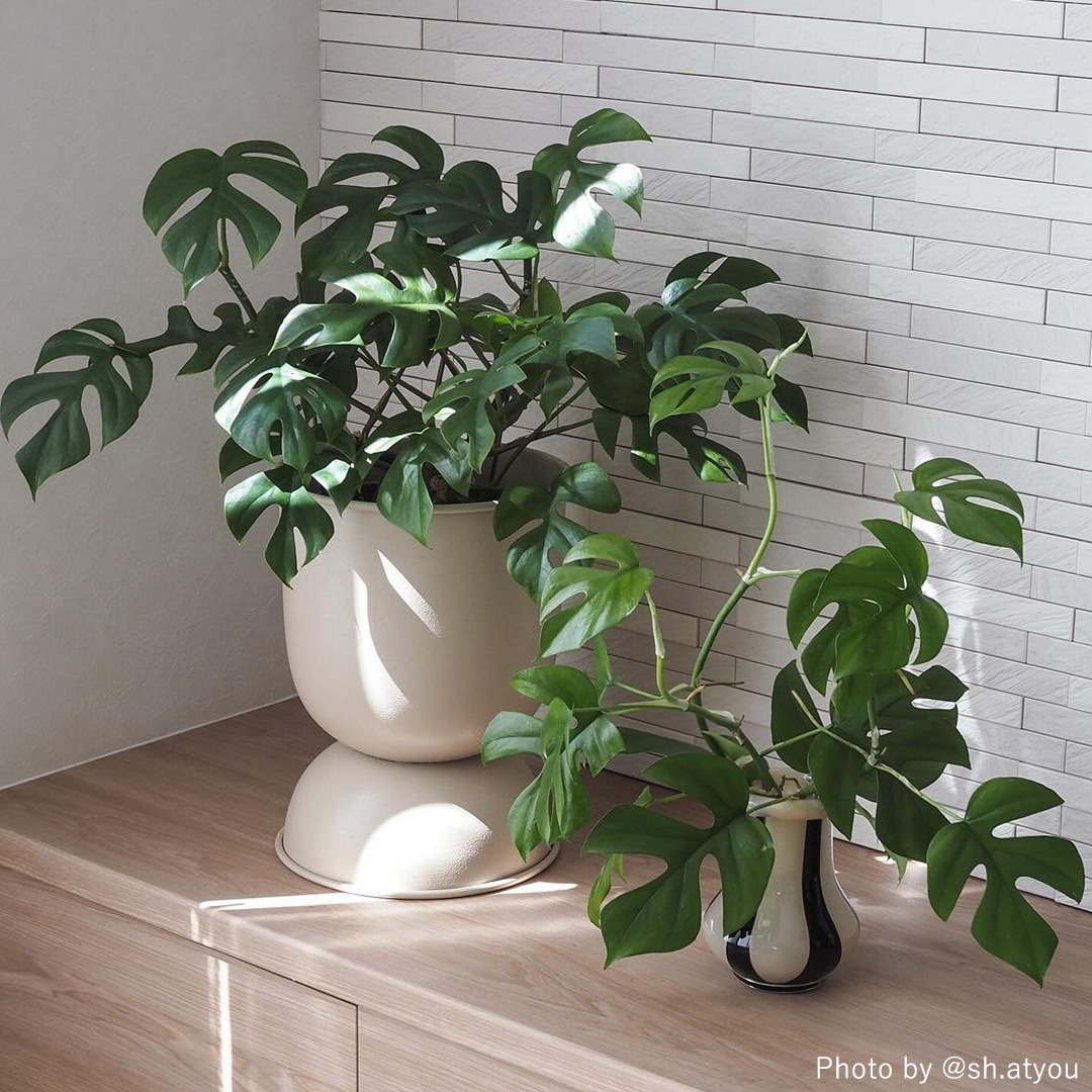 �ڤ櫓���ꡦ50%OFF��Ferm Living Hourglass Pot ������饹 �ݥå� XS �֥�å� �����ߥ� �̲� ȭ���С� ����ȭ ����ƥꥢ �ե������ӥ� ������������Ź��