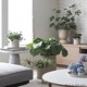 �ڤ櫓���ꡦ50%OFF��Ferm Living Hourglass Pot ������饹 �ݥå� XS �֥�å� �����ߥ� �̲� ȭ���С� ����ȭ ����ƥꥢ �ե������ӥ� ������������Ź��