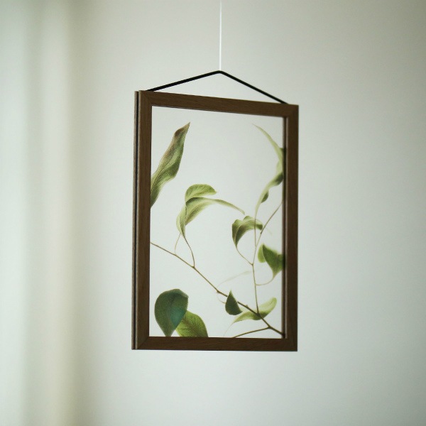 ڥڡоݡۡڤ󤻡Paper Collective (ڡѡ쥯ƥ) ݥ A5 Floating Leaves 09 ꥢ ̲/ƥꥢ/Ź