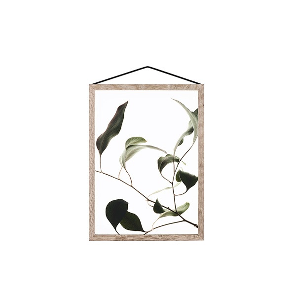 ڥڡоݡۡڤ󤻡Paper Collective (ڡѡ쥯ƥ) ݥ A5 Floating Leaves 09 ꥢ ̲/ƥꥢ/Ź