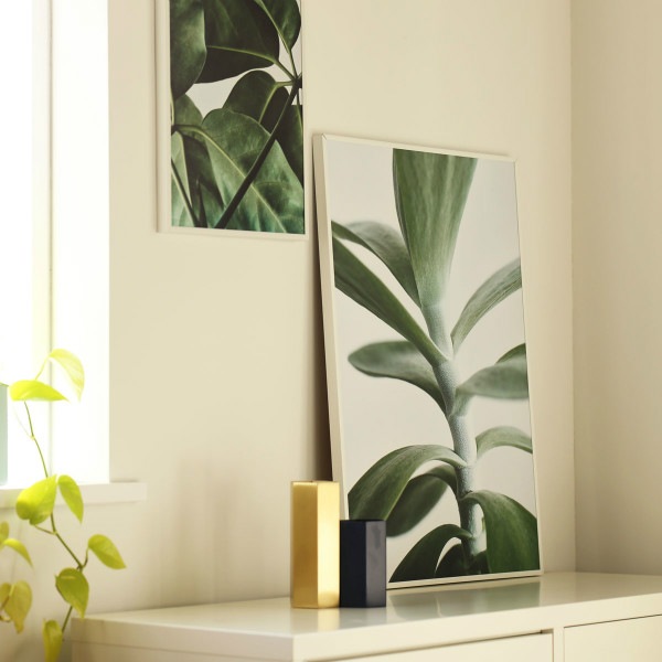 ڥڡоݡۡڤ󤻡Paper Collective (ڡѡ쥯ƥ) ݥ 5070 Green home 04 (꡼ۡ) ̲/ƥꥢ/Ź ̵