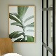 ڥڡоݡۡڤ󤻡Paper Collective (ڡѡ쥯ƥ) ݥ 5070 Green home 04 (꡼ۡ) ̲/ƥꥢ/Ź ̵