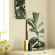 ڼȯPaper Collective (ڡѡ쥯ƥ) ݥ 5070cm Green home 04 (꡼ۡ) ̲/ƥꥢ/Ź ̵