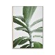 ڥڡоݡۡڤ󤻡Paper Collective (ڡѡ쥯ƥ) ݥ 5070 Green home 04 (꡼ۡ) ̲/ƥꥢ/Ź ̵
