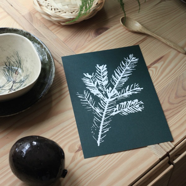 Teemu Jarvi (�ơ��ࡦ������) �ݥ����� A5��14.8��21cm�� SPRUCE BRANCH�ʥ��ץ롼���֥����� �̲�/����ƥꥢ/������������Ź��/������/����ץ�/�ɳݤ� �ڥ᡼���ء�