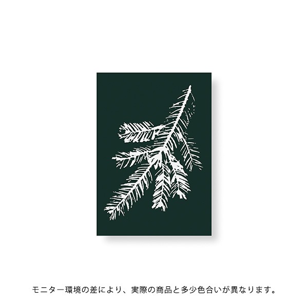 Teemu Jarvi (�ơ��ࡦ������) �ݥ����� A5��14.8��21cm�� SPRUCE BRANCH�ʥ��ץ롼���֥����� �̲�/����ƥꥢ/������������Ź��/������/����ץ�/�ɳݤ� �ڥ᡼���ء�