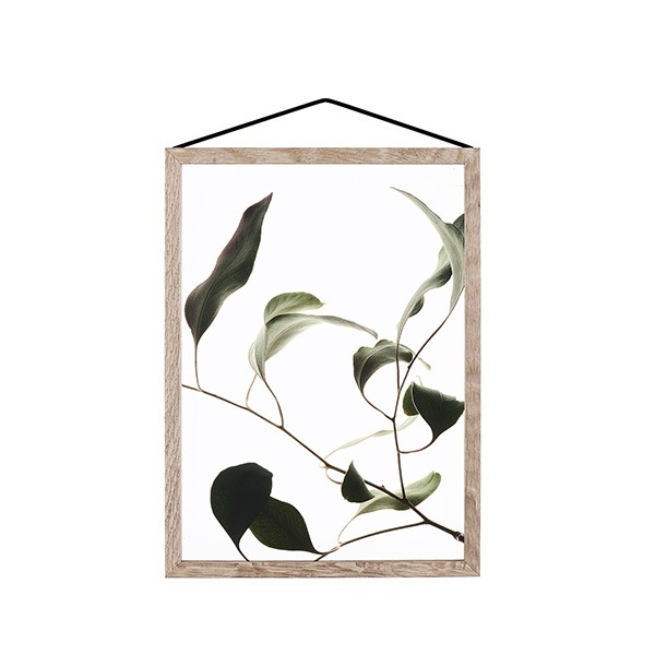 ڼȯPaper Collective (ڡѡ쥯ƥ) ݥ A4 Floating Leaves 09 ꥢ ̲/ƥꥢ/Ź