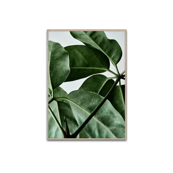 ڥڡоݡۡڤ󤻡Paper Collective (ڡѡ쥯ƥ) ݥ 3040 Green home 01 (꡼ۡ) ̲/ƥꥢ/Ź