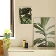 ڥڡоݡۡڤ󤻡Paper Collective (ڡѡ쥯ƥ) ݥ 3040 Green home 01 (꡼ۡ) ̲/ƥꥢ/Ź
