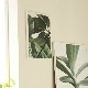 ڥڡоݡۡڤ󤻡Paper Collective (ڡѡ쥯ƥ) ݥ 3040 Green home 01 (꡼ۡ) ̲/ƥꥢ/Ź