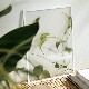 ڥڡоݡۡڤ󤻡Paper Collective (ڡѡ쥯ƥ) ݥ A3 Floating Leaves 09 ꥢ ̲/ƥꥢ/Ź 