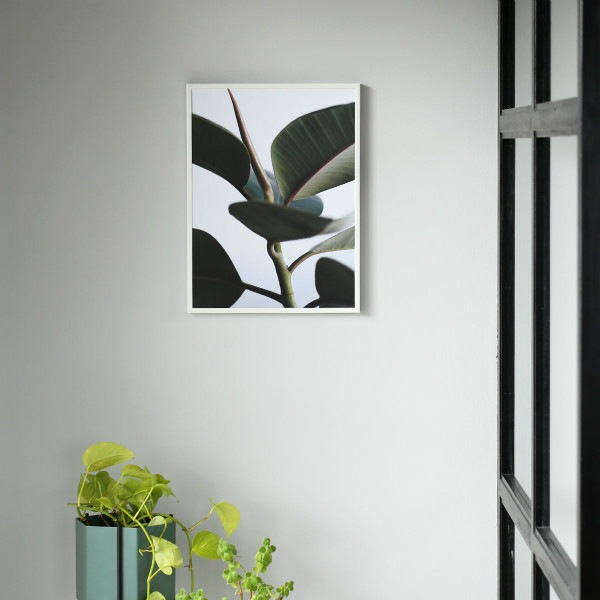ڥڡоݡۡڤ󤻡Paper Collective (ڡѡ쥯ƥ) ݥ 3040 Green home 02 (꡼ۡ) ̲/ƥꥢ/Ź
