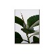 ڥڡоݡۡڤ󤻡Paper Collective (ڡѡ쥯ƥ) ݥ 3040 Green home 02 (꡼ۡ) ̲/ƥꥢ/Ź