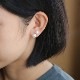 Baqless (�Хå��쥹) �ԥ��� ���ꥹ�� �ܥ��� 8.5mm �ѡ��� ����å��쥹/����å����η� �ڥ᡼���ء�