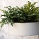 �ڹ���߸ˤ����Ferm Living (�ե������ӥ�) Plant Box (�ץ��ȥܥå���)Round �饤�ȥ��졼 �̲�/����ƥꥢ/�ȶ�/������������Ź�ʡ�����̵����