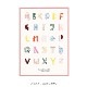 ڥڡоݡPaper Collective (ڡѡ쥯ƥ) ե졼/ 3040 ƥС ԥ ̲/ƥꥢ/Ź ̵