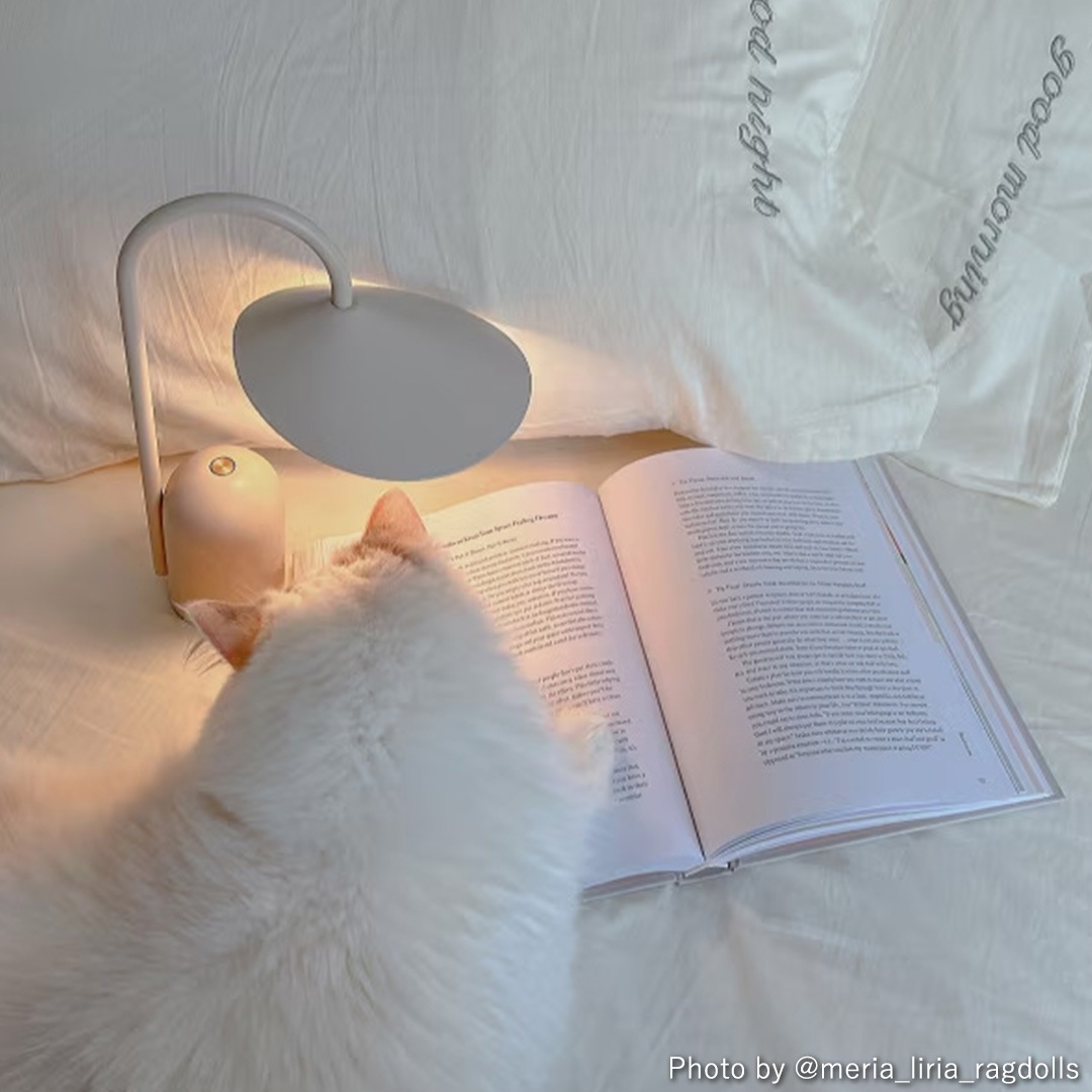 ��30��OFF��Ferm Living (�ե������ӥ�) Arum portable lamp (������� �ݡ����֥����) ��9�� �̲�/����ƥꥢ/����/�ݡ����֥���סڹ���߸ˤ����