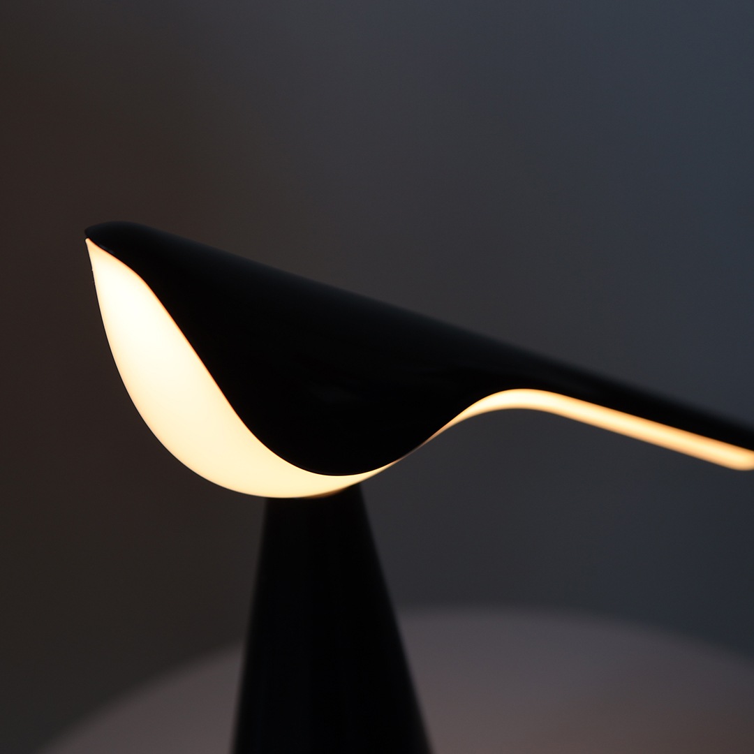 �ڤ����󤻡� Established �� Sons (�������֥�å���� ����� ����) TIKI�ʥƥ����� �ޥåȥۥ磻��/���饹�֥�å� ����ƥꥢ/���ܾ���