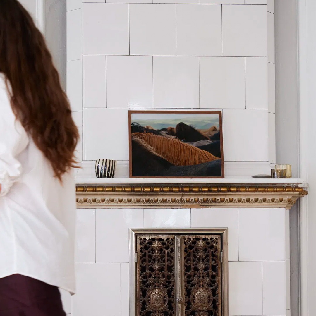 �ڥ����ڡ����оݡۡڤ����󤻡�Paper Collective (�ڡ��ѡ����쥯�ƥ���) �ݥ����� ��30��40�� The Herd 01 �̲�/����ƥꥢ/������/������������Ź�ʡڿ��ǥ������