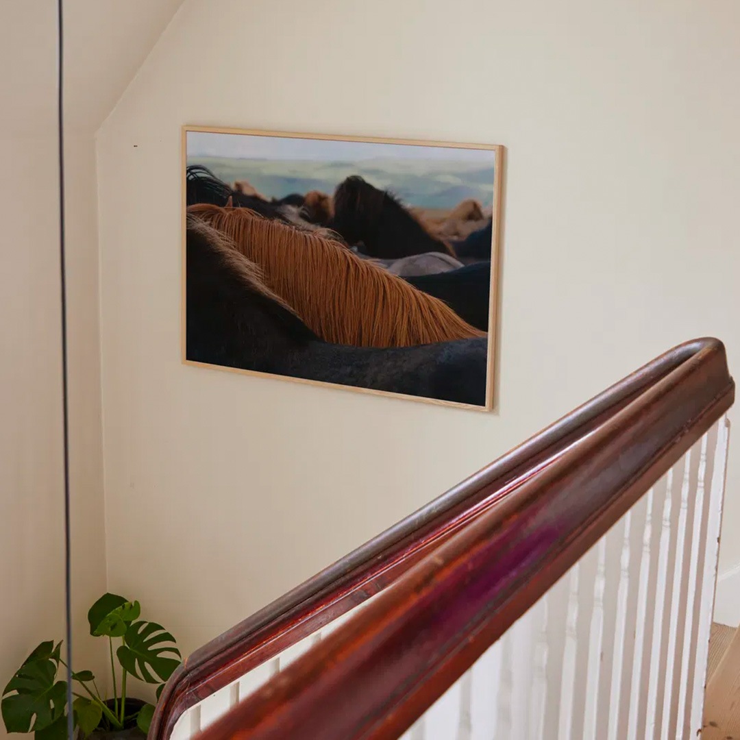 �ڥ����ڡ����оݡۡڤ����󤻡�Paper Collective (�ڡ��ѡ����쥯�ƥ���) �ݥ����� ��50��70�� The Herd 01 �̲�/����ƥꥢ/������/������������Ź�ʡڿ��ǥ������