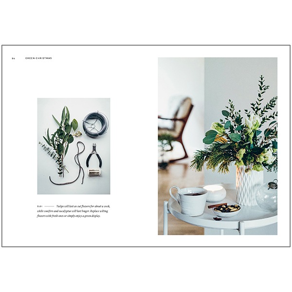 COZY PUBLISHING (���������ѥ֥�å���) Green Christmas �̲�/�ե������/��/����ƥꥢ