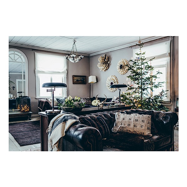 COZY PUBLISHING (���������ѥ֥�å���) Green Christmas �̲�/�ե������/��/����ƥꥢ