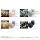 biollne (�ӥ����) �������˥å����åȥ���ͤΥ��������å���/���ȥ饤�� �ʥ�����/���졼/�١�����/�֥�å� �ڥ᡼���ء�