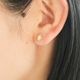 �ڤ����󤻡�Enamel (���ʥ��) �ԥ��� S ���󥷥㥤�� �ǥ�����/������� �̲�/������������Ź��