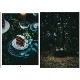 COZY PUBLISHING (���������ѥ֥�å���) Nordic Winter CookBook �̲�/�ե������/��/�쥷�ԡ���������եȡ�