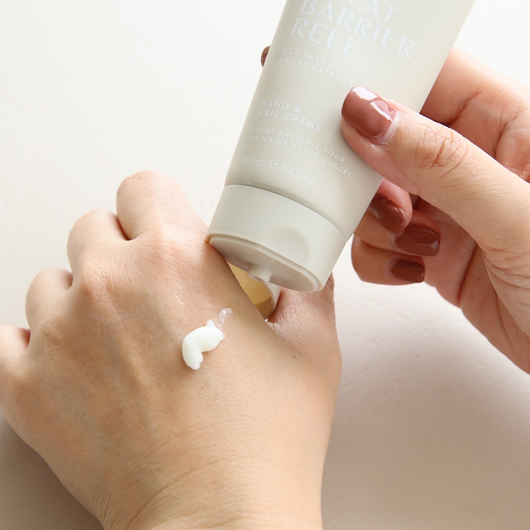 MAINE BEACH (�ޥ���ӡ���) GREAT BARRIER REEF (���졼�ȥХꥢ�꡼��) �ϥ�ɡ��ͥ��륯�꡼��