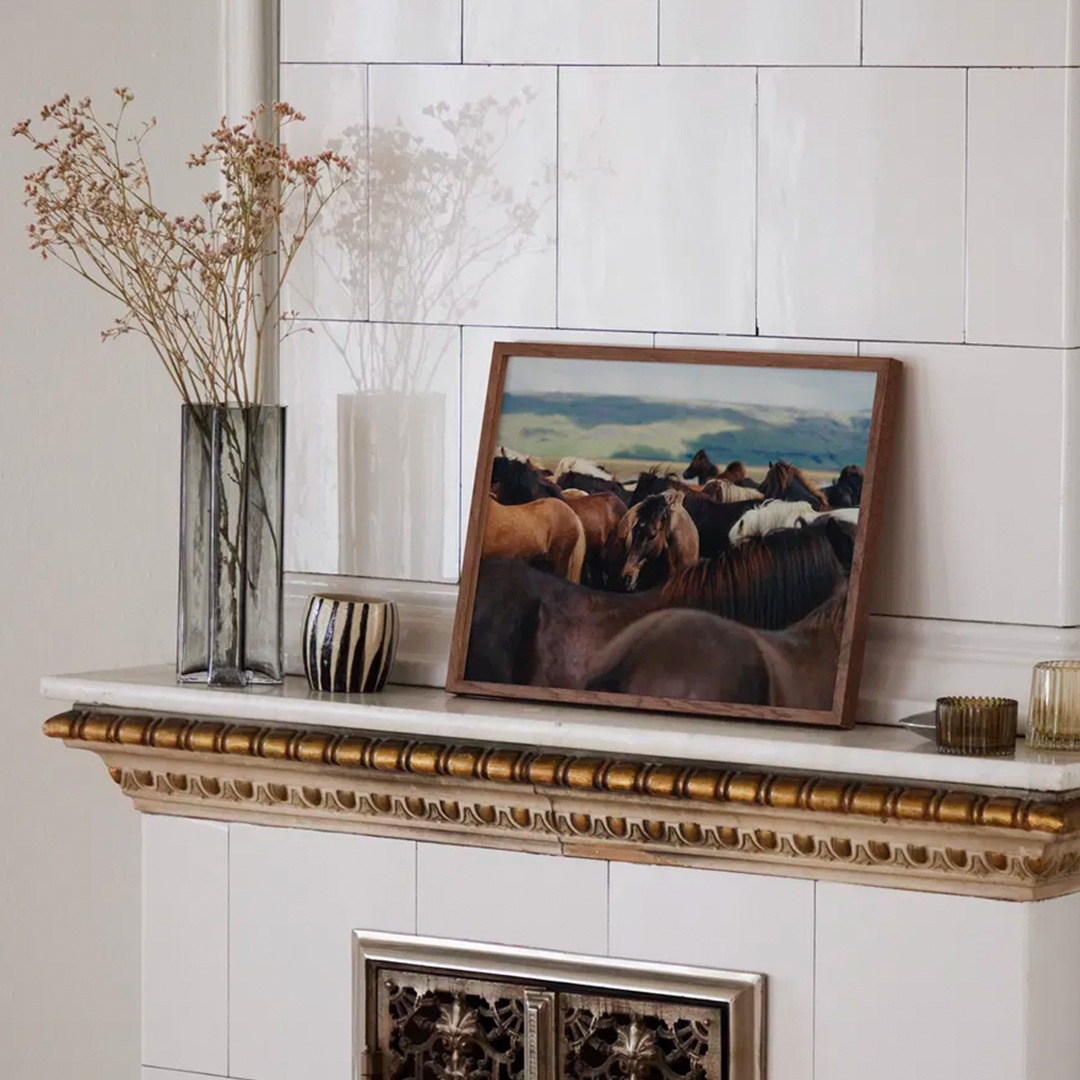 �ڥ����ڡ����оݡۡڤ����󤻡�Paper Collective (�ڡ��ѡ����쥯�ƥ���) �ݥ����� ��30��40�� The Herd 02 �̲�/����ƥꥢ/������/������������Ź�ʡڿ��ǥ������