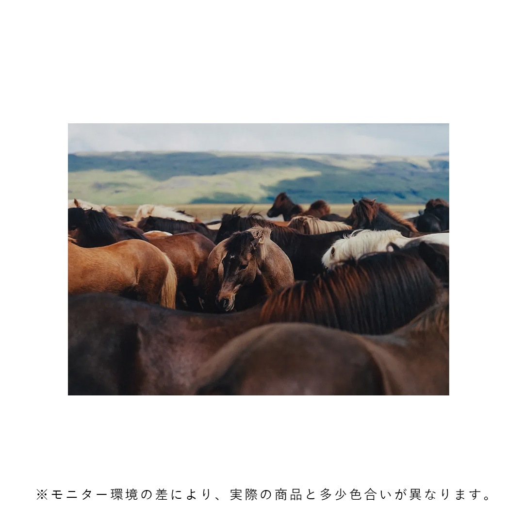 �ڥ����ڡ����оݡۡڤ����󤻡�Paper Collective (�ڡ��ѡ����쥯�ƥ���) �ݥ����� ��30��40�� The Herd 02 �̲�/����ƥꥢ/������/������������Ź�ʡڿ��ǥ������