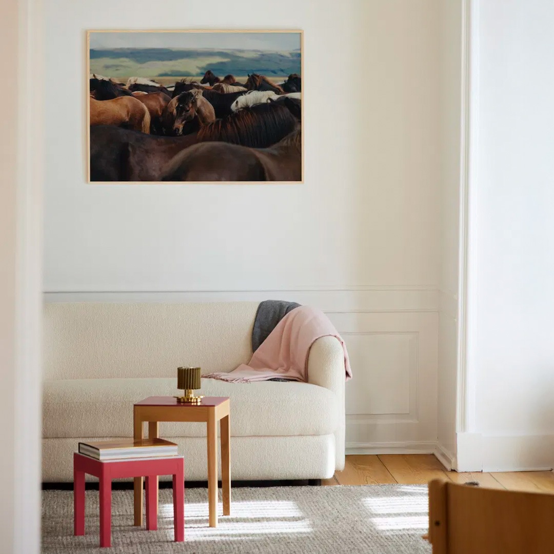 �ڥ����ڡ����оݡۡڤ����󤻡�Paper Collective (�ڡ��ѡ����쥯�ƥ���) �ݥ����� ��50��70�� The Herd 02 �̲�/����ƥꥢ/������/������������Ź�ʡڿ��ǥ������