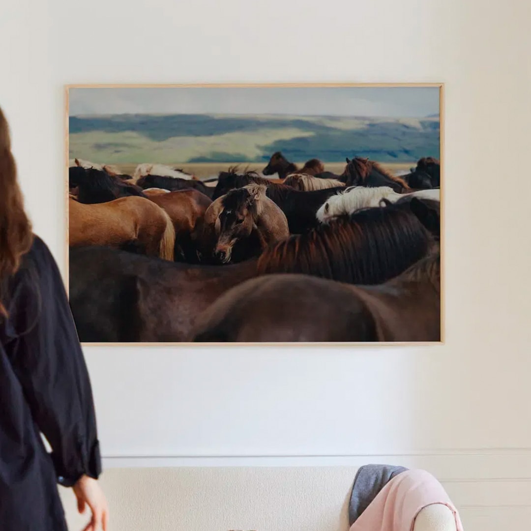 �ڥ����ڡ����оݡۡڤ����󤻡�Paper Collective (�ڡ��ѡ����쥯�ƥ���) �ݥ����� ��70��100�� The Herd 02 �̲�/����ƥꥢ/������/������������Ź�ʡڿ��ǥ������