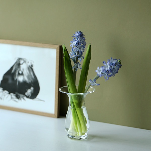 Holmegaard ホルムガード Old English オールドイングリッシュ ヒヤシンスベース クリア 北欧 フラワーベース インテリア 日本正規代理店品 デンマーク王室ご用達 Holmegaard Old English Hyacinth Vase 北欧雑貨 インテリアのオンラインショップ Kozlife