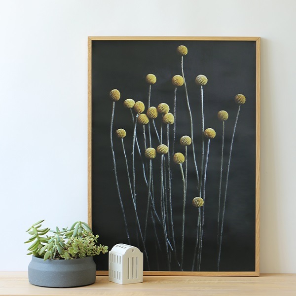 ڥڡоݡۡڤ󤻡Paper Collective (ڡѡ쥯ƥ) ݥ 5070 Still Life 01 (ƥ饤ա˥饹ڥǥ ̲/ƥꥢ/Ź ̵