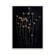 ڥڡоݡۡڤ󤻡Paper Collective (ڡѡ쥯ƥ) ݥ 5070 Still Life 01 (ƥ饤ա˥饹ڥǥ ̲/ƥꥢ/Ź ̵