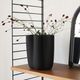 Cooee Design (���������ǥ�����) Tulipa Vase (���塼��åץ١���) 20cm �ء�����ʥå�/��ͥ�/����� �̲�/����ƥꥢ/����/������������Ź��