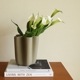 Cooee Design (���������ǥ�����) Tulipa Vase (���塼��åץ١���) 20cm �ء�����ʥå�/��ͥ�/����� �̲�/����ƥꥢ/����/������������Ź��