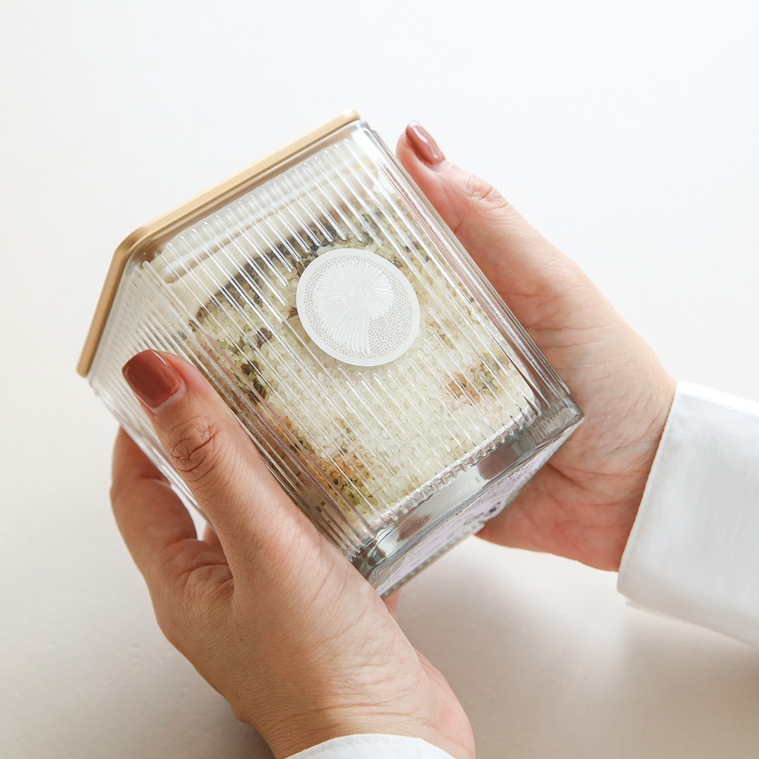 MAINE BEACH (�ޥ���ӡ���) GREAT BARRIER REEF (���졼�ȥХꥢ�꡼��) �Х������