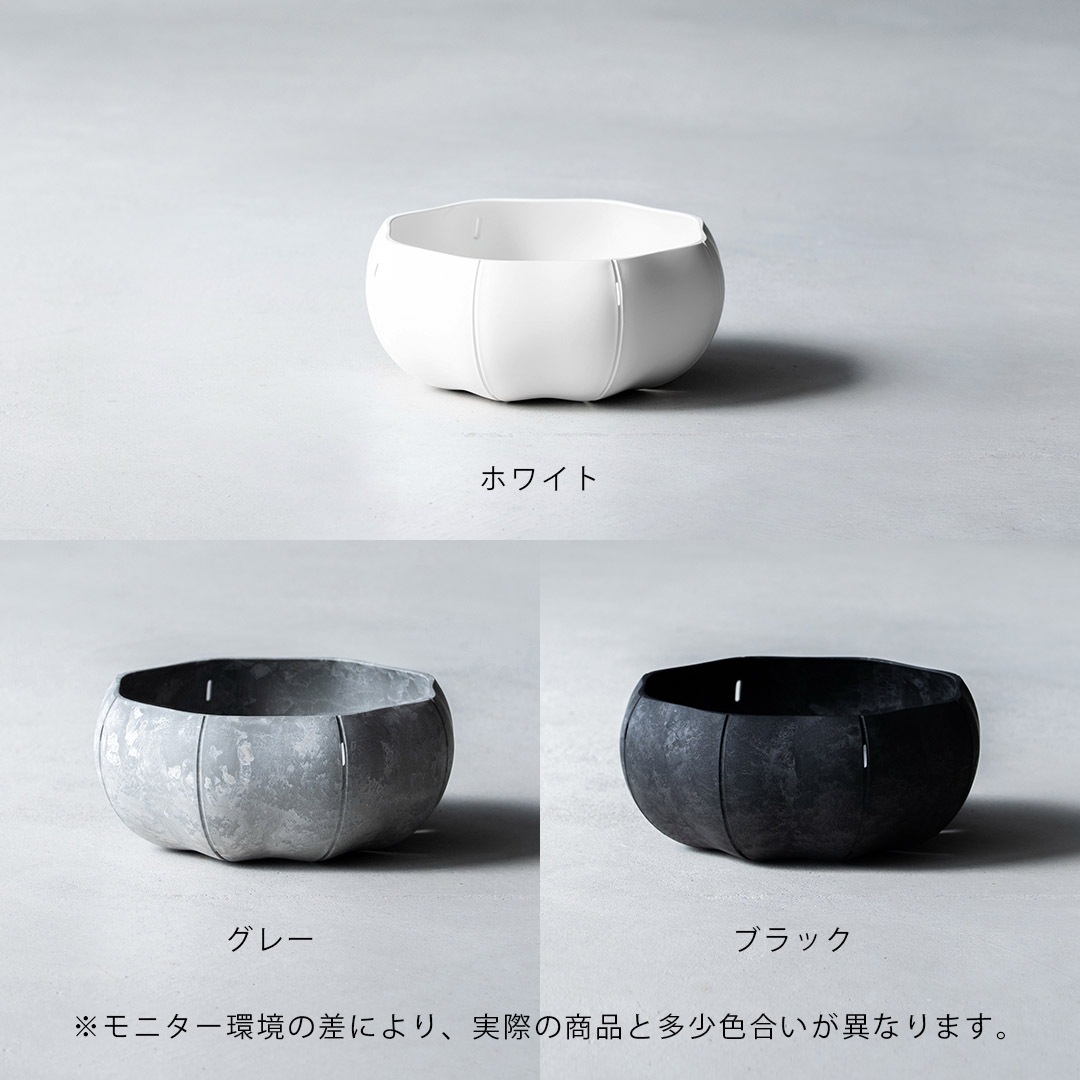Sen Roly pots Shallow �����꡼�ݥå� �ݡ����� S �ۥ磻�� ���졼 �֥�å� ����
