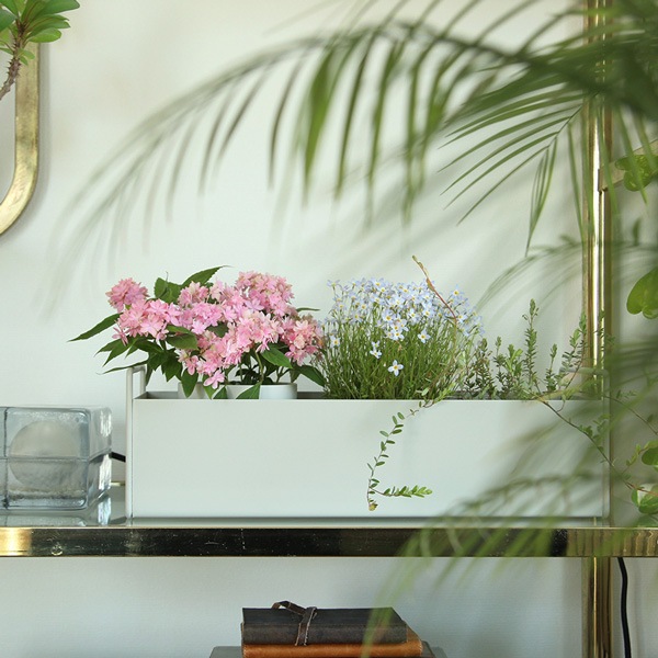 ڤ󤻡Ferm Living (եӥ) Plant Box (ץȥܥå) S 饤ȥ졼 ̲/ƥꥢ/Ź
