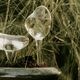 �ڤ����󤻡�Ferm Living (�ե������ӥ�) Mercury Water Globes (�ޡ�����꡼������������������) 2�ĥ��å� �̲�/����ƥꥢ/�����ǥ˥�/������������Ź��