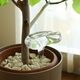 �ڤ����󤻡�Ferm Living (�ե������ӥ�) Mercury Water Globes (�ޡ�����꡼������������������) 2�ĥ��å� �̲�/����ƥꥢ/�����ǥ˥�/������������Ź��